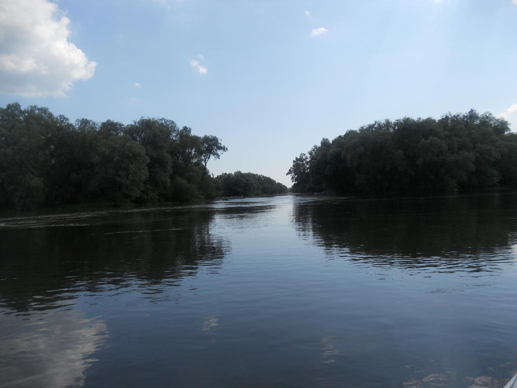 Pensiunea Cristal Tulcea Esterno foto