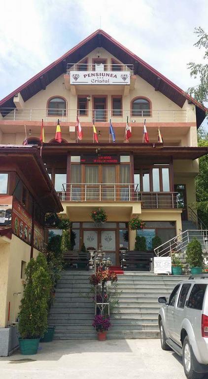 Pensiunea Cristal Tulcea Esterno foto